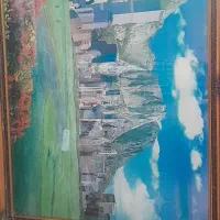 راننده بابکت