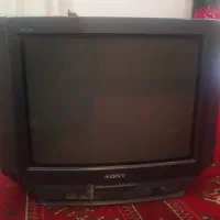 تلویزیون