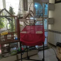 قفس ۱۰۳۲باپایه تاب چوب نبردبان