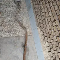 اگزوز