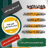 بانوی موفق