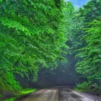 تور مسافرتی/کمپ/سفر