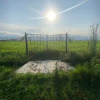 2-هزار-متر-مزروعی-موقعیت-عالی-برای-کاشت-کیوی