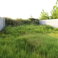 فروش 442 متر زمین مسکونی در بشمن