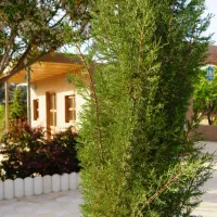 اجاره روزانه خانه باغ شیک با فضای سر سبز