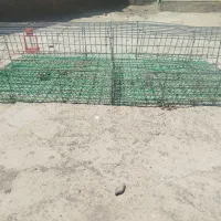 قفس بلدرچین