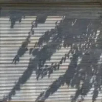 مغازه ۱۵متری،۱۳متری حاجیان، پر تردد