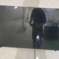 تلوزیون
