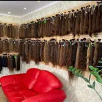 خرید و خریدار موی طبیعی (از سراسر کشور)
