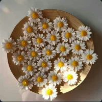 شمع