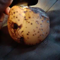 ناب‌ترین عقیق موجود معاوضه با انگشتر یا ابزار