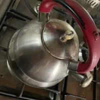 کتاب زبان صورت و کتری