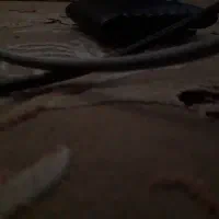 خط رند