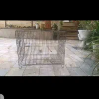 قفس پرنده