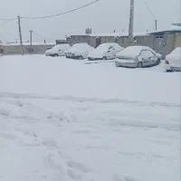کلر گازی گری
