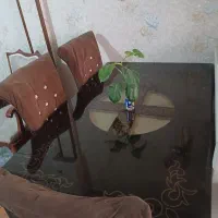 میز ناهارخوری