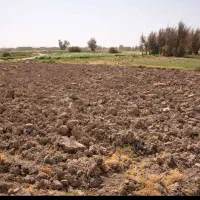 زمین کشاورزی