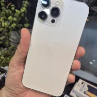 IPHONE13max