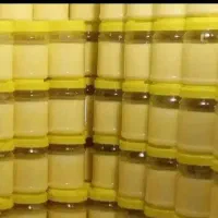 توزیع وپخش رایگان