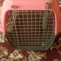 یک عدد قفس عروس هلندی کوچگ