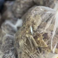 نبات طبیعی نی شکری
