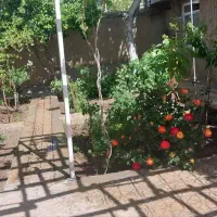 اجاره یک واحد خانه حیاط دار مبله