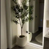 آینه بک لایت