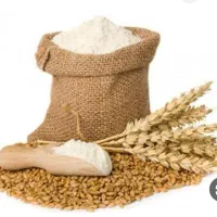 گندم پیشگام نونی ب شرط