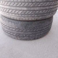 لاستیک تارا