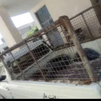 وانت بار با مناسب ترین قیمت