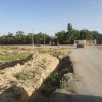 زمین مشهدالکوبه