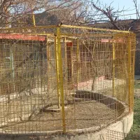 قفس بزرگ و محکم برای سگ دام و مرغ