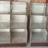 استند اجیلی