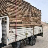 خرید فروش پالت چوبی
