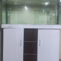 اکواریوم ماهیران