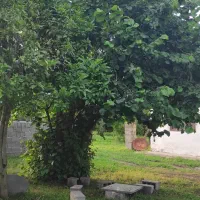 فروش زمین مسکونی