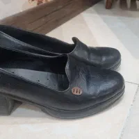 کیف وکفش