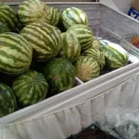 فروش منبری میوه
