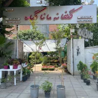 گلخانه ماناگیاه