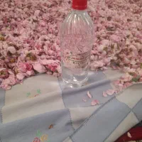 گلاب دوآتیشه روستای علی آبادپیربکران