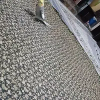 عروس هلندی گمشده در حوالی رحمت آباد مژدگانی