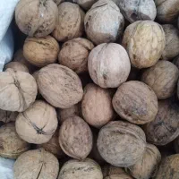انواع برنج کامفی و پاکستانی و گردو  با کالا برگ|خوردنی و آشامیدنی|شیراز, کوی زهرا|دیوار