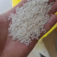 برنج سرلاشه هاشمی