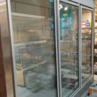 فریزر سه درب الکترواستیل مدل فلامینگو