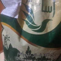 برنج