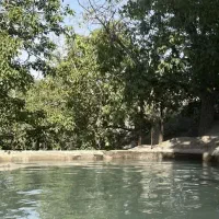 زمین-مزروعی-نزدیک-به-طرح