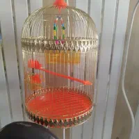 قفس و لوازم پرنده و جفتگاه حراج واقعی واقعی