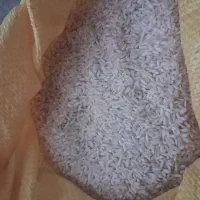 برنج طارم هاشمی درجه یک