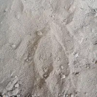 سویا خوراک دام