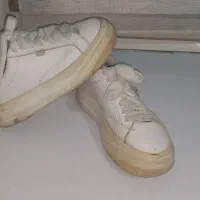 کتونی در حد نو